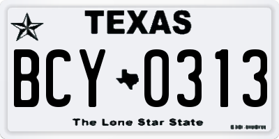 TX license plate BCY0313