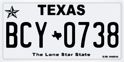 TX license plate BCY0738