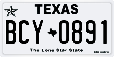 TX license plate BCY0891
