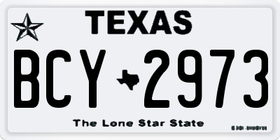 TX license plate BCY2973