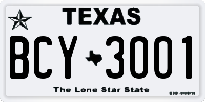 TX license plate BCY3001