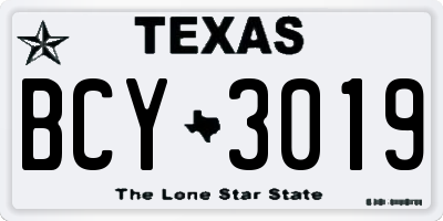 TX license plate BCY3019