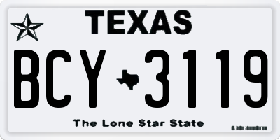 TX license plate BCY3119