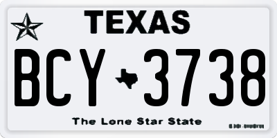 TX license plate BCY3738