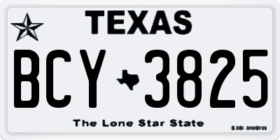 TX license plate BCY3825