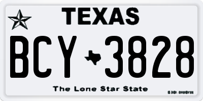 TX license plate BCY3828