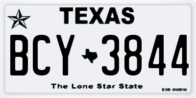 TX license plate BCY3844