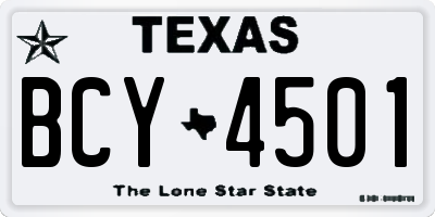 TX license plate BCY4501