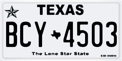 TX license plate BCY4503