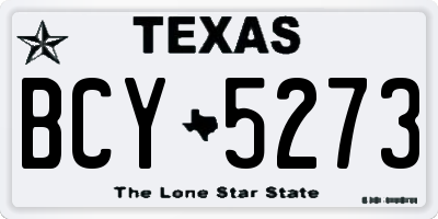 TX license plate BCY5273