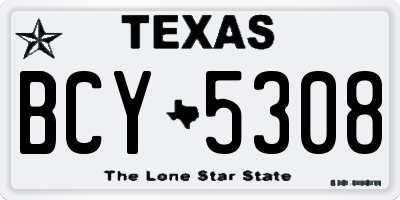 TX license plate BCY5308