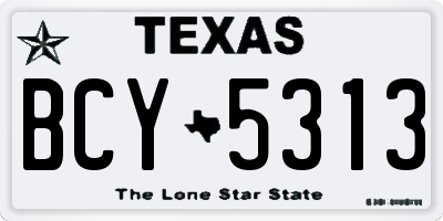 TX license plate BCY5313