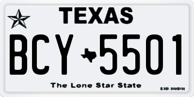 TX license plate BCY5501