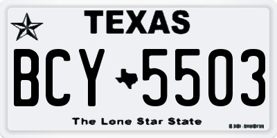 TX license plate BCY5503
