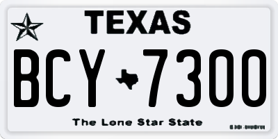 TX license plate BCY7300