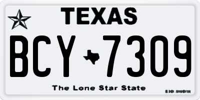 TX license plate BCY7309