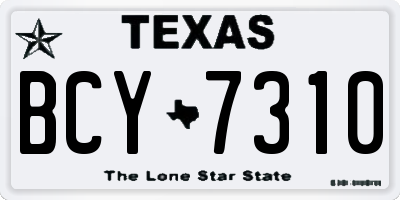 TX license plate BCY7310