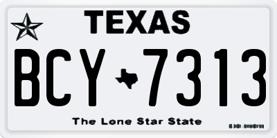 TX license plate BCY7313