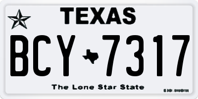 TX license plate BCY7317