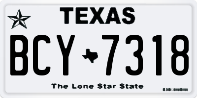 TX license plate BCY7318