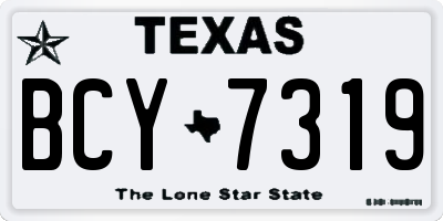 TX license plate BCY7319