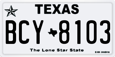 TX license plate BCY8103