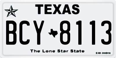 TX license plate BCY8113