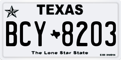 TX license plate BCY8203