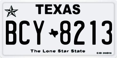 TX license plate BCY8213