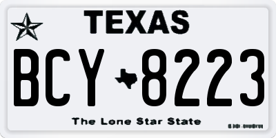 TX license plate BCY8223