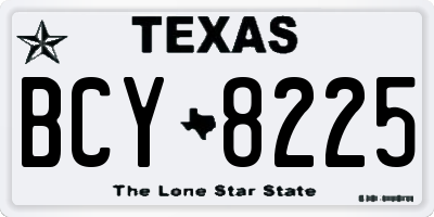 TX license plate BCY8225