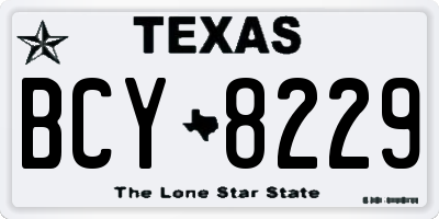 TX license plate BCY8229