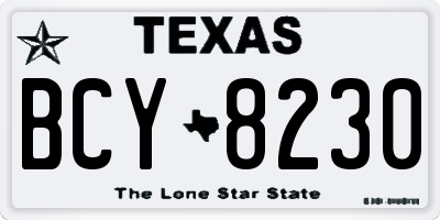 TX license plate BCY8230