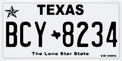 TX license plate BCY8234