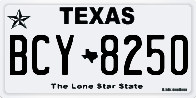 TX license plate BCY8250