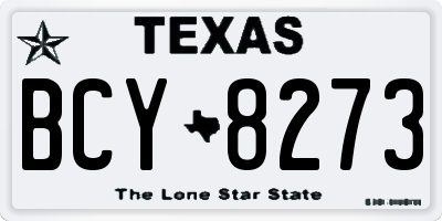 TX license plate BCY8273