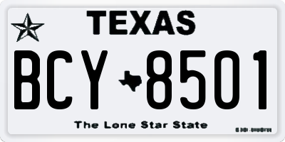 TX license plate BCY8501
