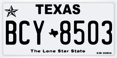 TX license plate BCY8503