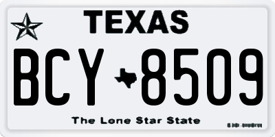 TX license plate BCY8509