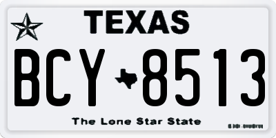 TX license plate BCY8513
