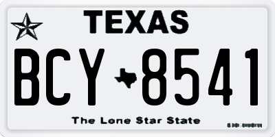 TX license plate BCY8541