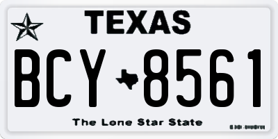 TX license plate BCY8561