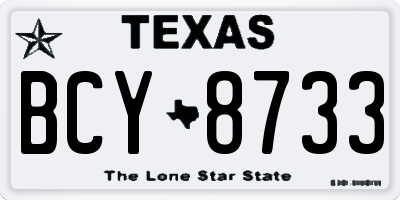 TX license plate BCY8733