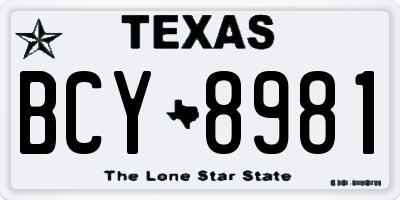 TX license plate BCY8981