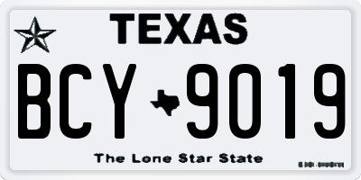 TX license plate BCY9019