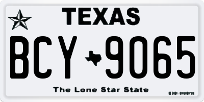 TX license plate BCY9065