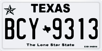 TX license plate BCY9313