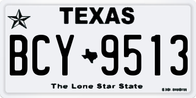 TX license plate BCY9513