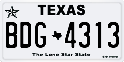TX license plate BDG4313