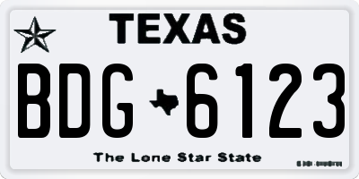 TX license plate BDG6123